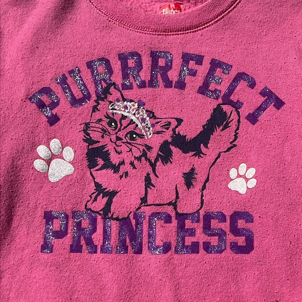 💕 HANES Premium Ecosmart Pullover Sweatshirt Size 4T, PERRRFECT PRINCESS Cat